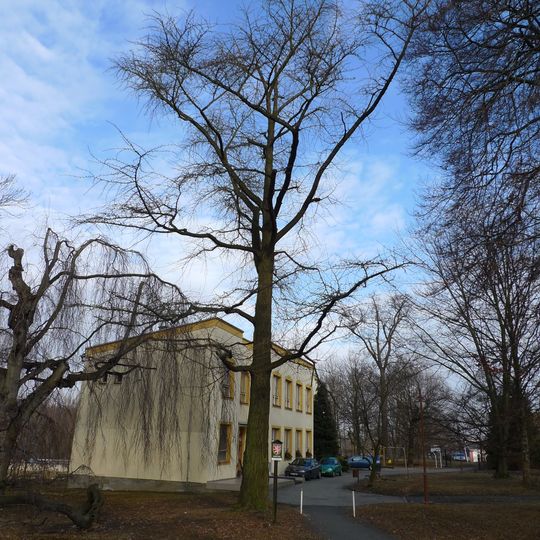 Jinan dvoulaločný v Třebovicích