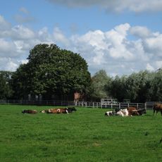 Boerderij, laag met pannen gedekt dak, haaks op elkaar staande vleugels