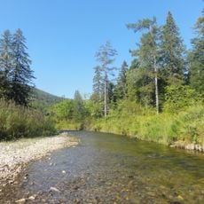 Riserva naturale del Botči