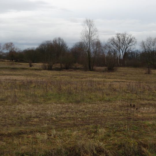 Sukzessionsfläche und Tümpel "Ob dem Hart"