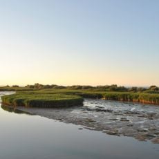 Parco regionale del Delta del Po