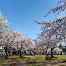 野田中央公園