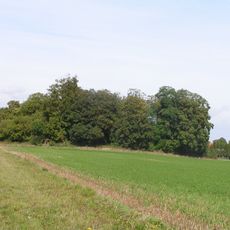 Tombeau de Théodoric