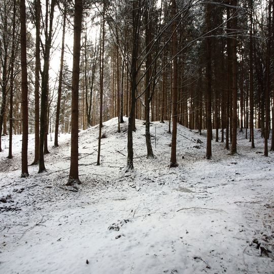 Hügelgräber im Kaiserwald