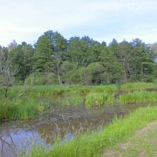 Hammer-Luch bei Löben