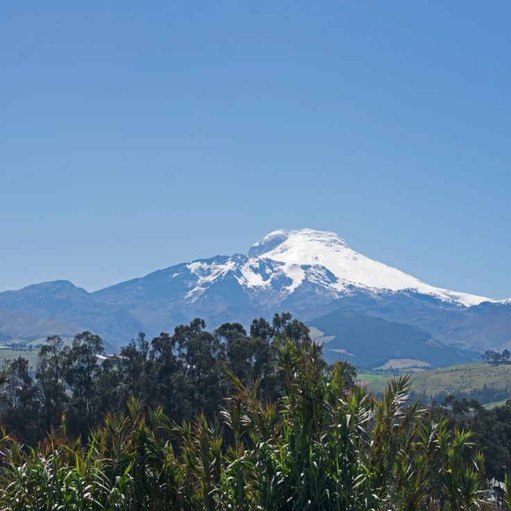 Cayambe Peak