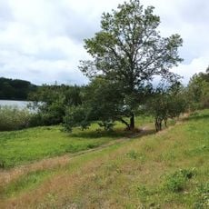 Tivoliparken