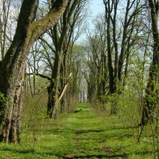 Manor Park in Wielgie