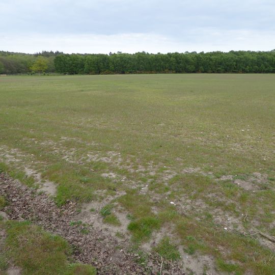 Potton Hall Fields, Westleton