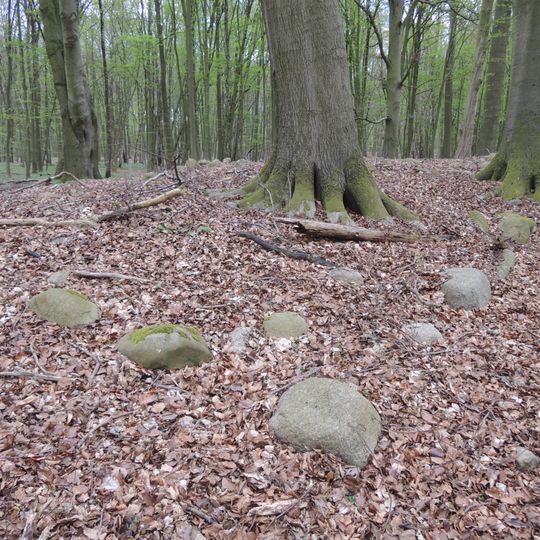 Großsteingrab Rothenmoor 1