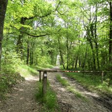 Forêt domaniale de Lanmary