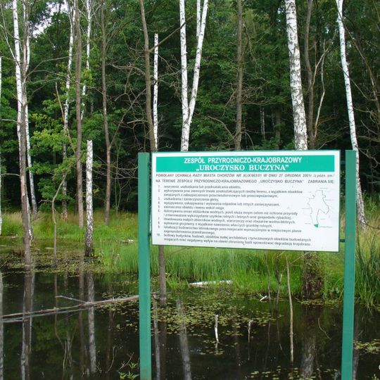Nature and landscape complex Uroczysko Buczyna