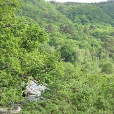 Reserva de la naturaleza nacional Ariundle Oakwood