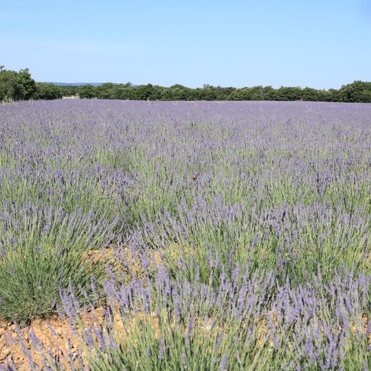 Plateau des Claparèdes