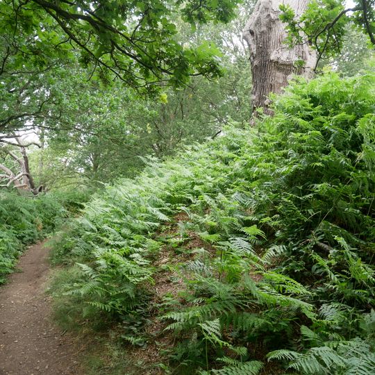 Mound at TQ1891972117