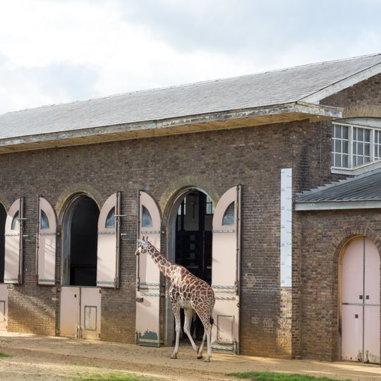 Giraffe House