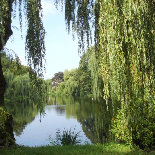 Park przy Amfiteatrze w Koszalinie