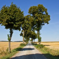 Straßenstück der L8065, KG Raabs