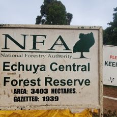 Echuya Forest reserve
