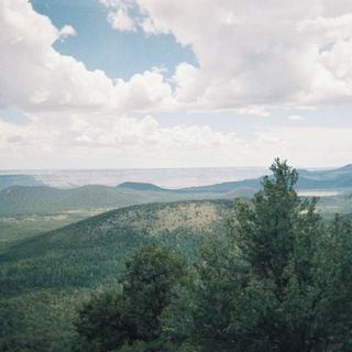 Mount Trumbull Wilderness