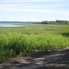 Pointe-Platon Ecological Reserve