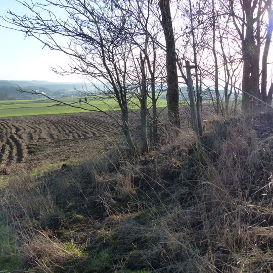 Burgstall Rodesgrün