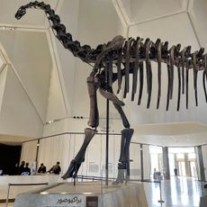 Muséum d'histoire naturelle d'Abou Dabi