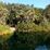 Naharon Cenote (Cenote Esqueleto)