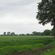 LSG-Muenchheide