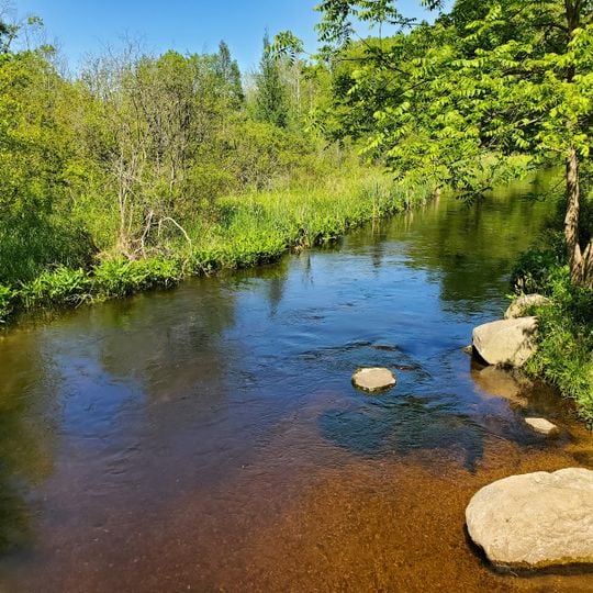 Newton Woods