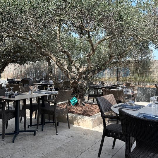 Le clos des oliviers