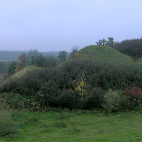 Distretto di Golub-Dobrzyń