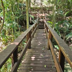 Norfolk Island Botanic Gardens