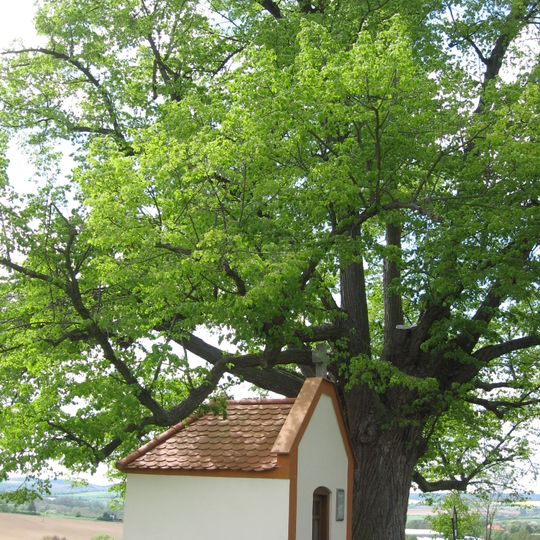 Lípa a kaple svaté Anny pod Ticholovcem