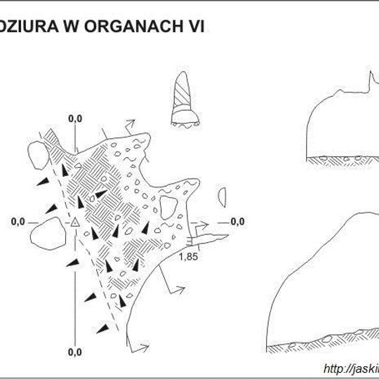 Dziura w Organach VI