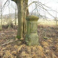 Kříž v remízu u cesty do Malého Šenova