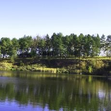Site of ancient settlement Shmankivtsi I
