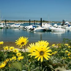 Port of Sancti Petri