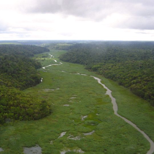 Rio Preto National Forest