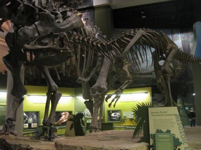 Interior 2