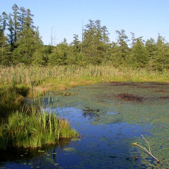 Volo Bog State Natural Area