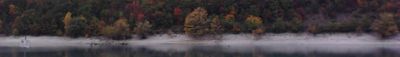 Panoramic View 0