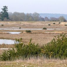 Greenham and Crookham Commons