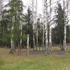 Парк (Гатчина)