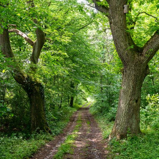 LSG-Saumerbachtal mit noerdlich angrenzender Loess-Hangzone bei Albaxen