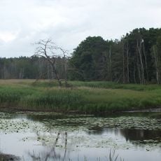Alte Elster und Rohrbornwiesen