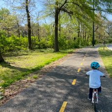Piney Branch Portal