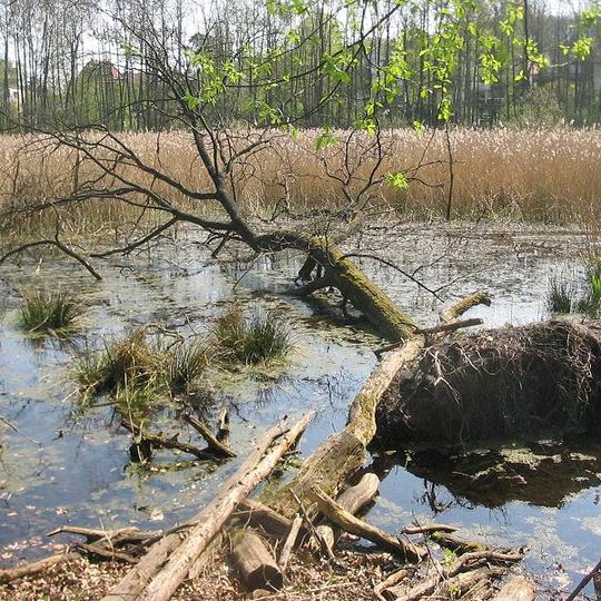 Fließwiese Ruhleben