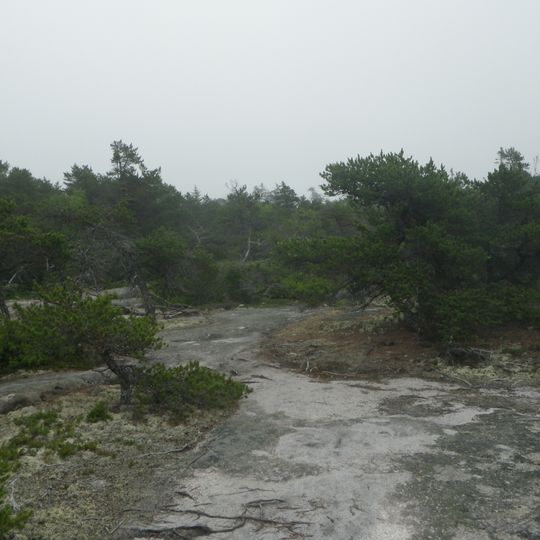 Great Wass Island Preserve