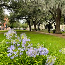 Oglethorpe Square